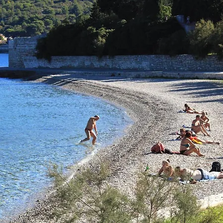 Seaside House Cove Rogacic, - 8887 * Vis